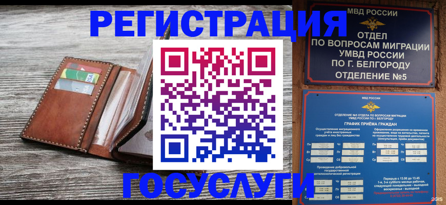 временная регистрация гарантия в Лузе